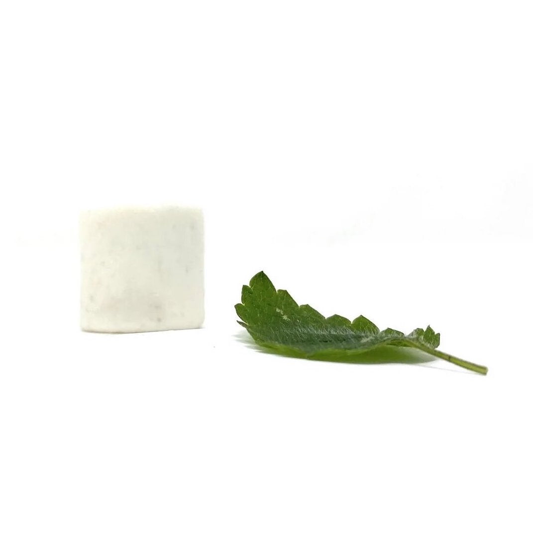 Dentifrice solide efficace et bon pour la planète. Un prix juste pour que le zéro déchet soit accessible à tous ! Vegan