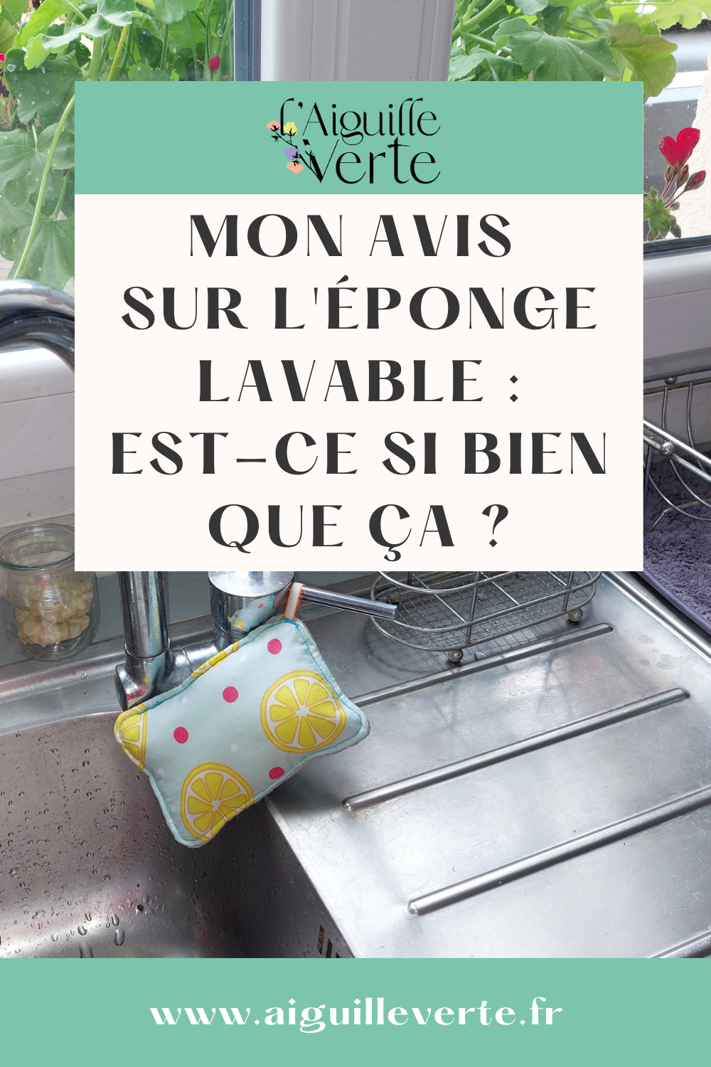 éponge réutilisable l'aiguille verte