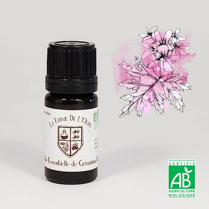Huiles essentielles qualité pures et 100% naturelles de Normandie Culture et cueillette locale Bienfaits des huiles essentielles
